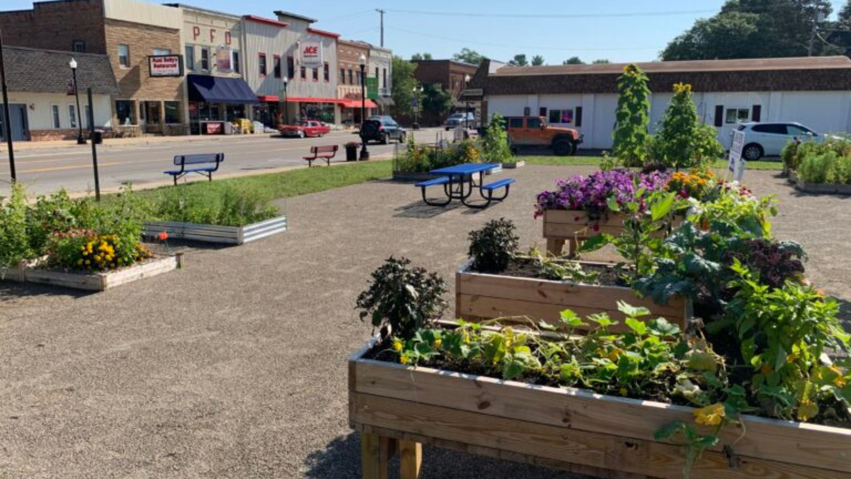 city with garden pots aligned on concrete