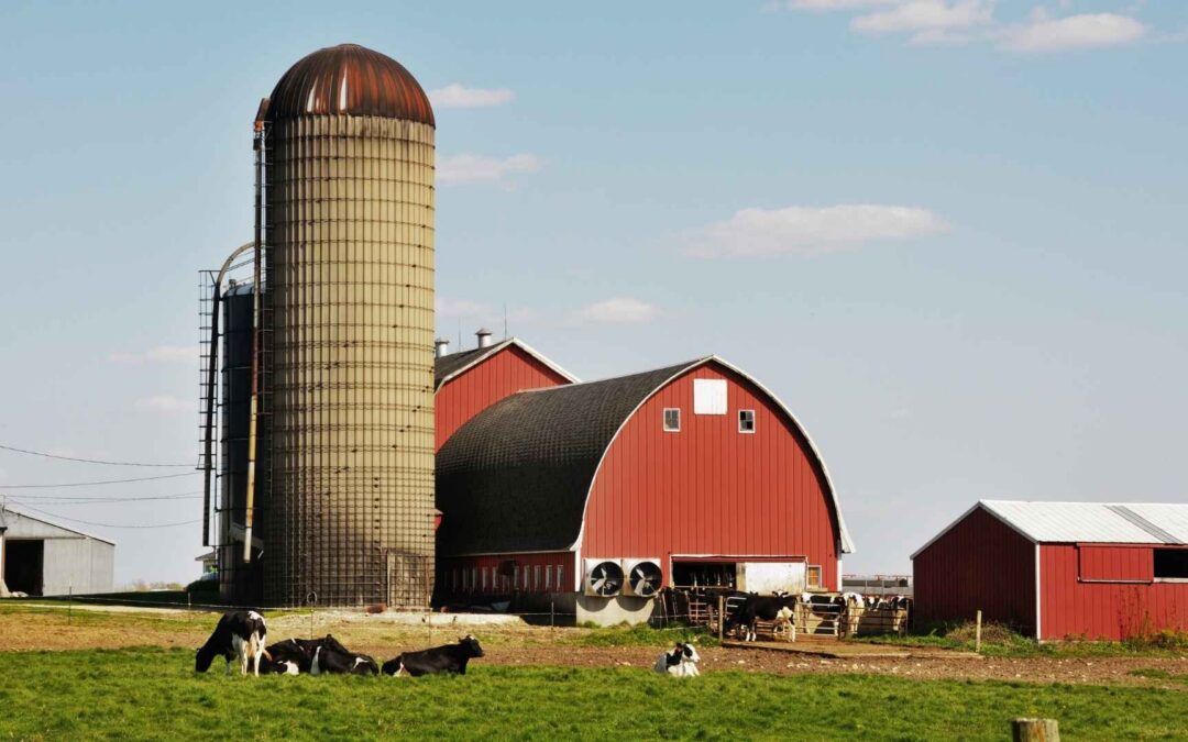 Agricultural Steel Fabrication for Farmers